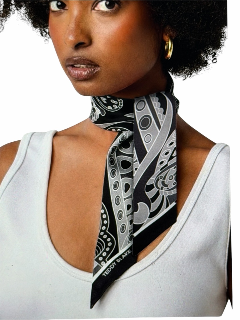 Teddy Blake Silk Bag Tie — image 5 of 5